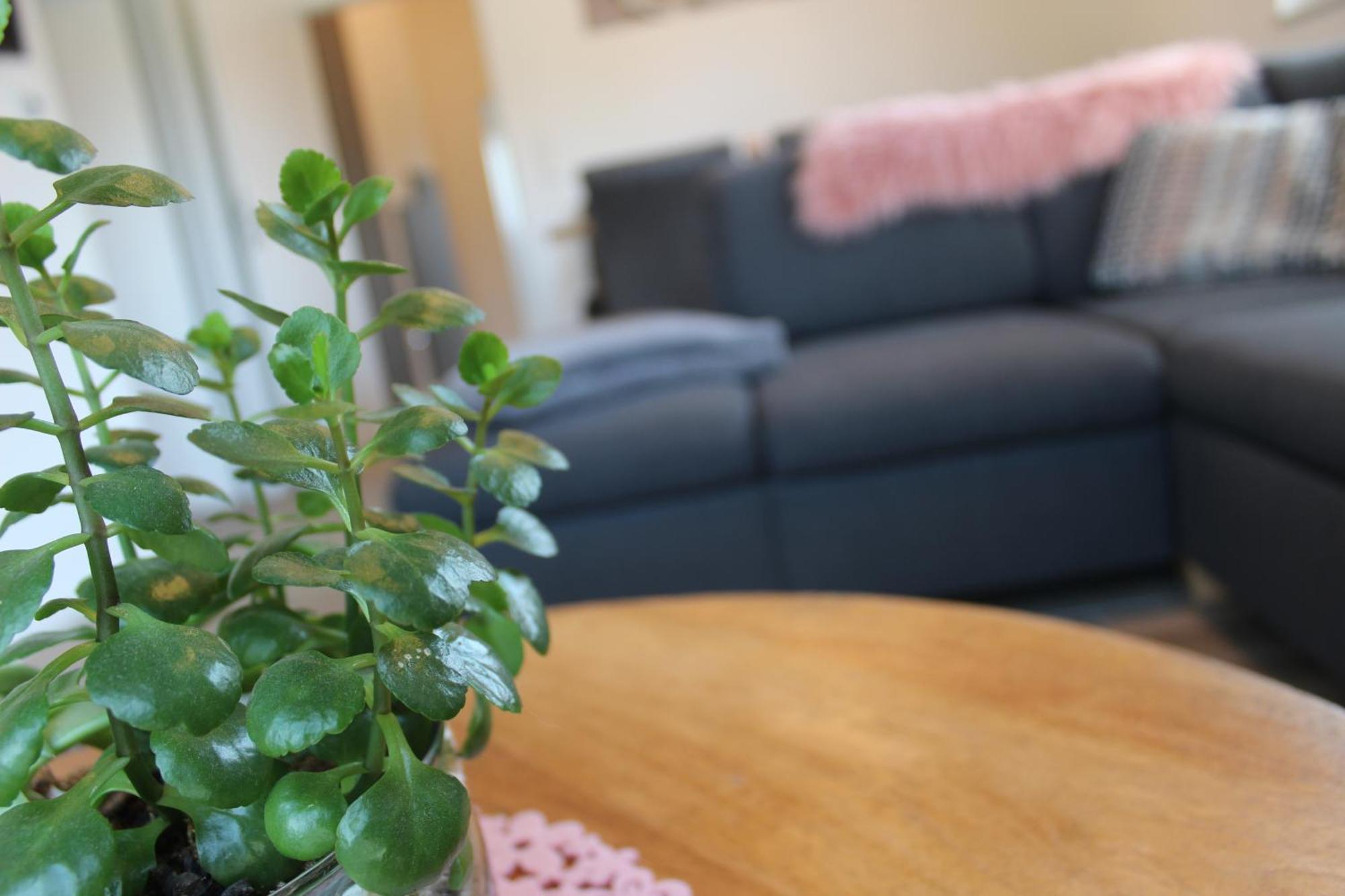Ferienhaus Seehuis, Sauna, Angeln, Familienfreundlich Twist Dış mekan fotoğraf